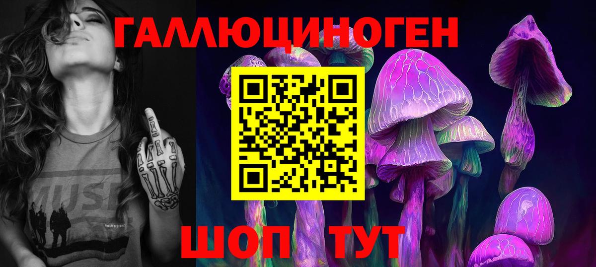 Псилоцибиновые грибы Psilocybine cubensis  Вход с VPN  Видное 